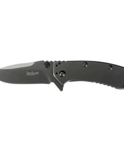 Kershaw Cryo II Assisted 3.25 in Plain Stainless Handle
