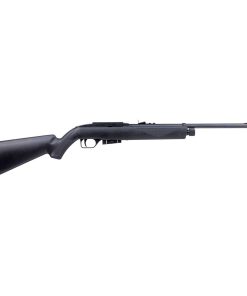 Crosman .177 Semi-Automatic Air Rifle 1077