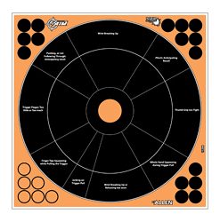 ALLEN EZ AIM 12"X12" HG TRAINER 5PK