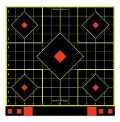 B/C SHT-N-C SIGHT-IN TGT 12-12"