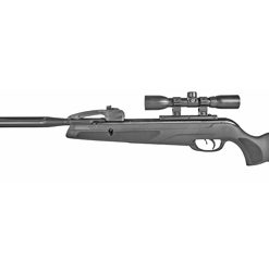 GAMO SWARM WHISPER .22 W/SCP