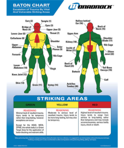 Baton Trauma Zone Chart