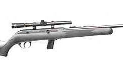 Sav 64Fxp 22Lr Auto Bl/Syn Scp