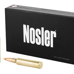 Nosler 33Nos 225Gr Ab 20/200