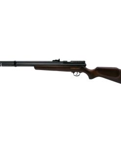 Beeman Chief Pcp Air Rifle .22