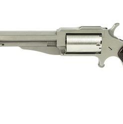 Naa "The Earl" 1860 22Wmr 4" 5Sh