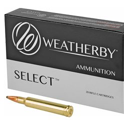 WBY AMMO 300WBY 165GR HRNDY INTER