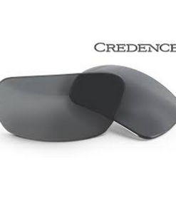 Credence-ESS-CREDENCE