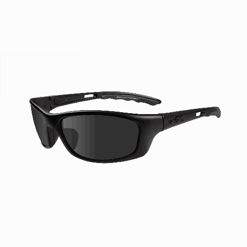 P-17 Glasses - Lens Only-WX-P-17-L
